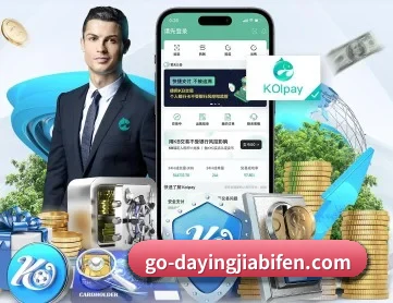 大赢家 APP
